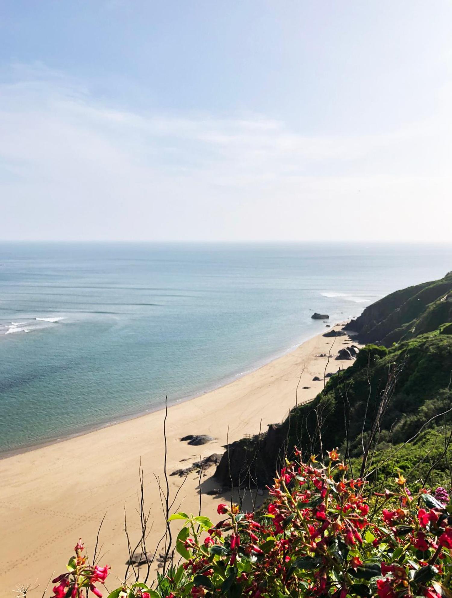 Cosy Beachside Cottage Bigbury Exterior photo